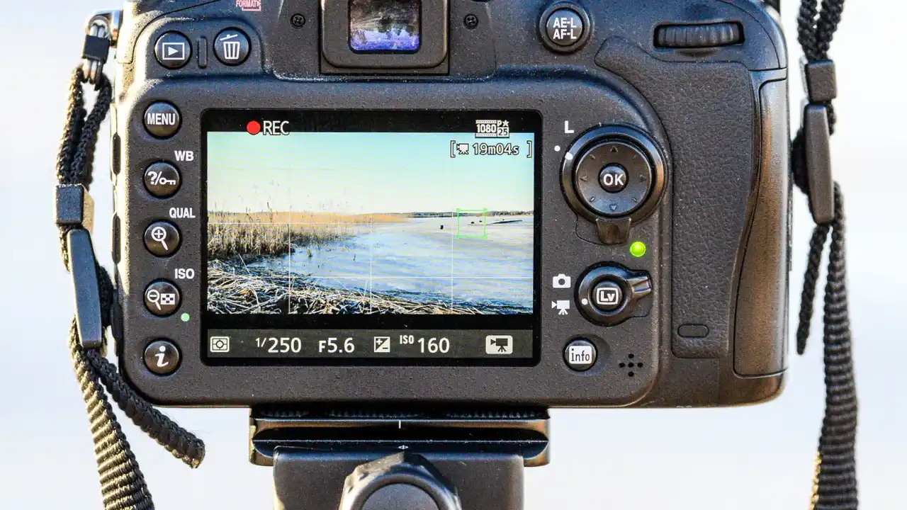 Easy, Two-Ingredient Pulled Pork