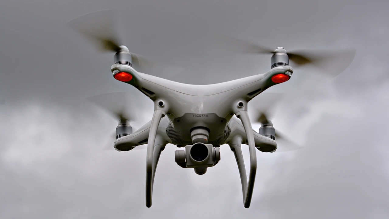 Two mint chocolate milkshakes with whipped cream and green sprinkles.