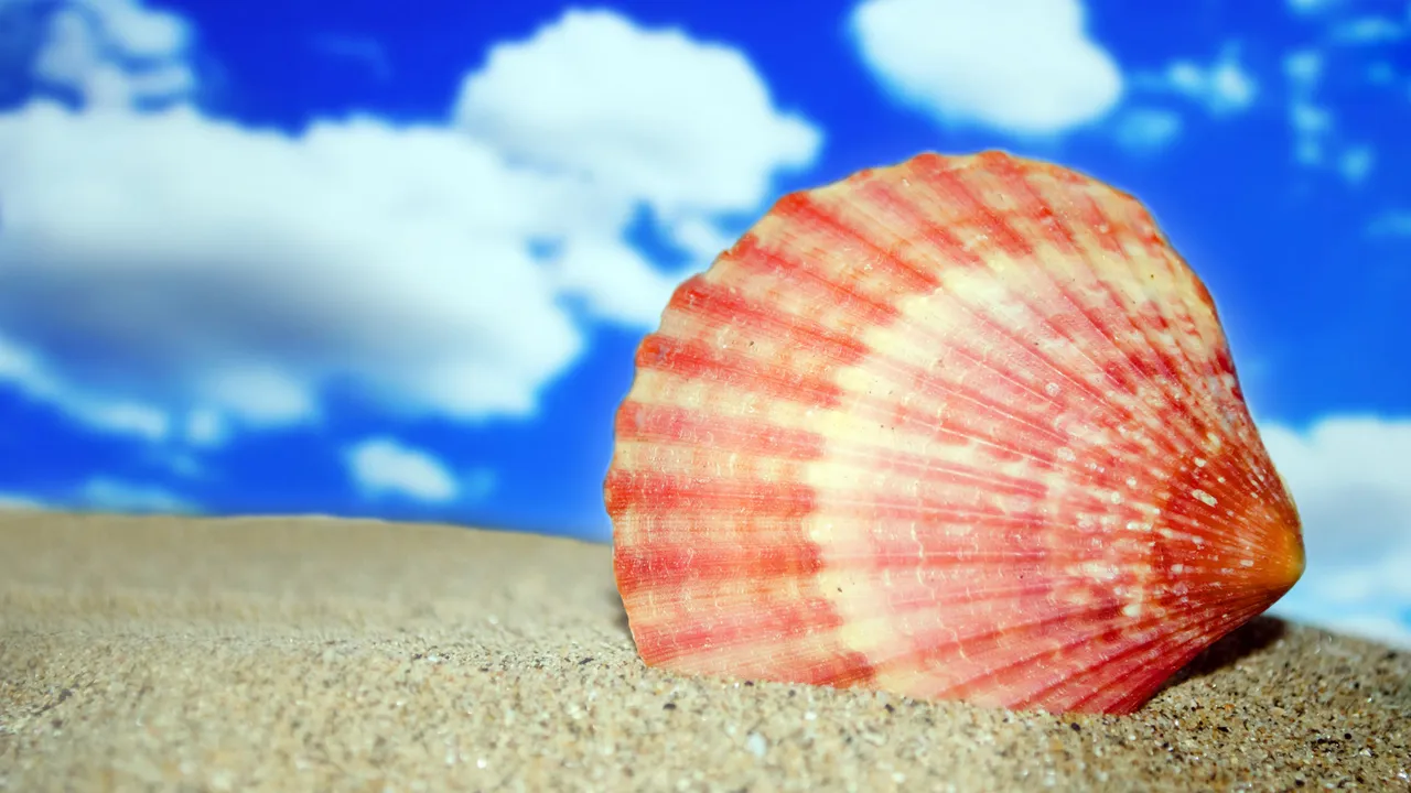 Close up on a plate of mashed potatoes, topped with baked pork chops with cream of mushroom soup, and a side of green beans.